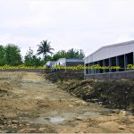 Breeding Farm Yogyakarta - Dhanang Closed House