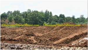 Persiapan Lahan