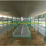 Konstruksi Starter dan Grower - Konstruksi Baja Breeding Farm 2 Lantai